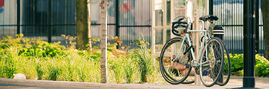 Pro Sport Engineering